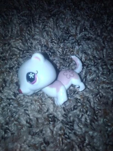 Littlest Pet Shop LPS White Ferret Figure #749 Toys With Purple Eyes - Picture 1 of 5