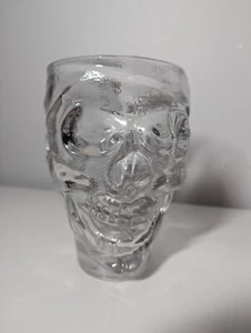 Glass Skull Stein Guy Fieri's American Kitchen Bar Cancun Mexico - Picture 1 of 10