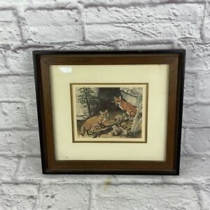 Vintage 1960’s Era Foxes Print By Gene Gray Matted in Brown & Black Wood Frame