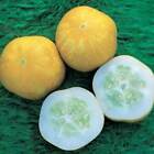 Vegetable - Cucumber Crystal Lemon - 20 Premium Quality Seeds - 1st Class Post