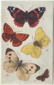 BUTTERYFLIES ON THE WING, PUSH OUT - Postcard, Tuck, Series 1, No 3390 - Picture 1 of 2