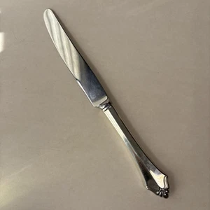 Cuchillo(s) de cena vintage Oneida Community Belcourt plateado de acero inoxidable - Imagen 1 de 6