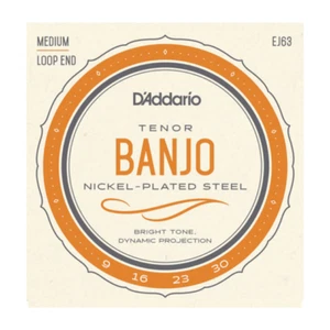 D'Addario EJ63 Nickel Plated Steel Tenor Banjo strings; loop end 9-30 medium - Picture 1 of 3