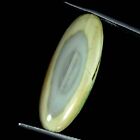 11.80 Cts Genuine Mexican Imperial Jasper Loose Gemstone Oval Cabochon 11X28x5mm