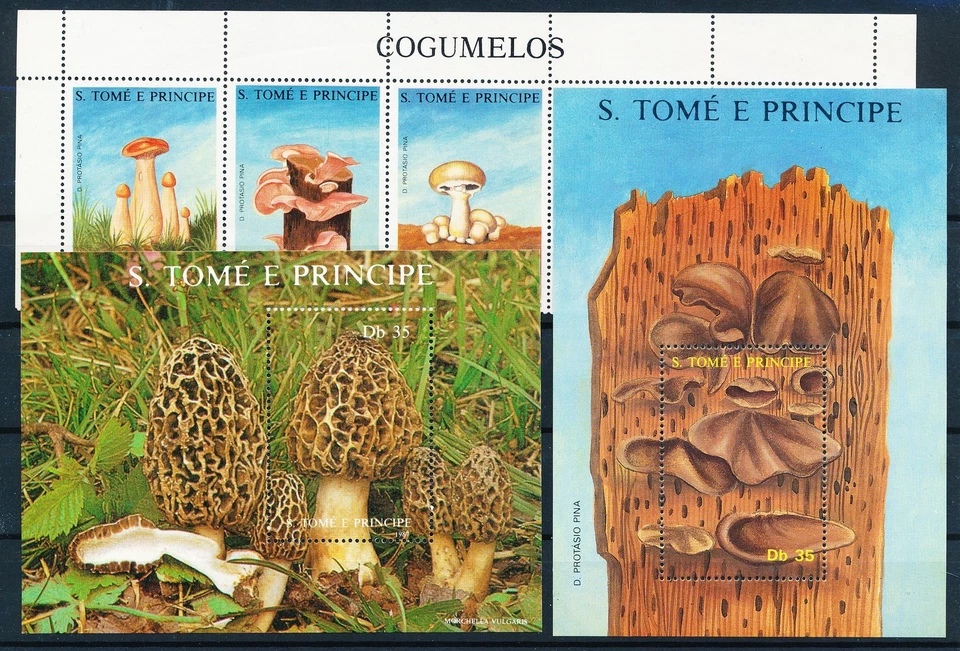LS64345 Sao Tome e Principe plants flora nature mushrooms sheets MNH - Image 1 of 1