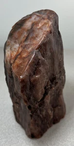Arizona Rainbow Petrified Wood Branch Limb Cast Specimen Polished Quartz Mineral - Picture 1 of 12
