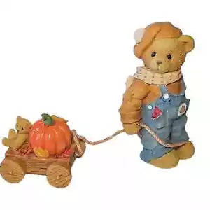 Cherished Teddies 176214 Daniel "You're My Little Pumpkin" Figura Niño Peluche - Imagen 1 de 7