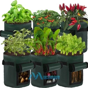 6 Pack Potato Planting Grow Bags Pot Planter Growing Garden Vegetable Container - Picture 1 of 20