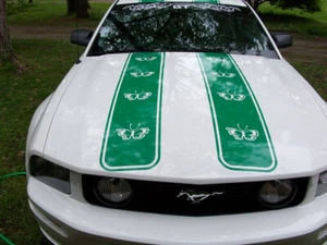 UNIVERSAL 10" Butterfly Hood Rally Stripe Graphics Stripes FIT All Car Truck SUV - Bild 1 von 3
