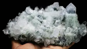 3.97lb New Find Beatiful Green Tibetan Phantom Quartz Crystal Cluster Specimen - Picture 1 of 12