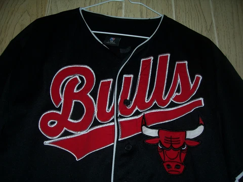 Chicago Bulls jersey (M) adult Cover