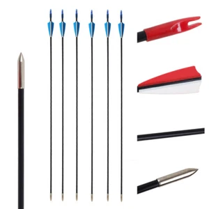 6pcs 31in Fiberglass Arrows Recurve Straight Bow Practice Arrows Outsourcing - Picture 1 of 12
