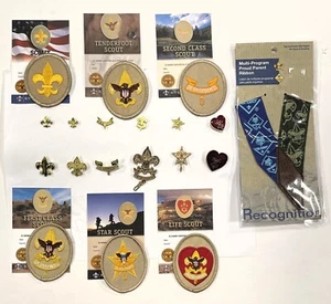 JUEGO/LOTE 25 prendedores de cinta Scouts BSA RANK Tenderfoot-2ª-1ª clase-estrella-vida-padres - Imagen 1 de 7