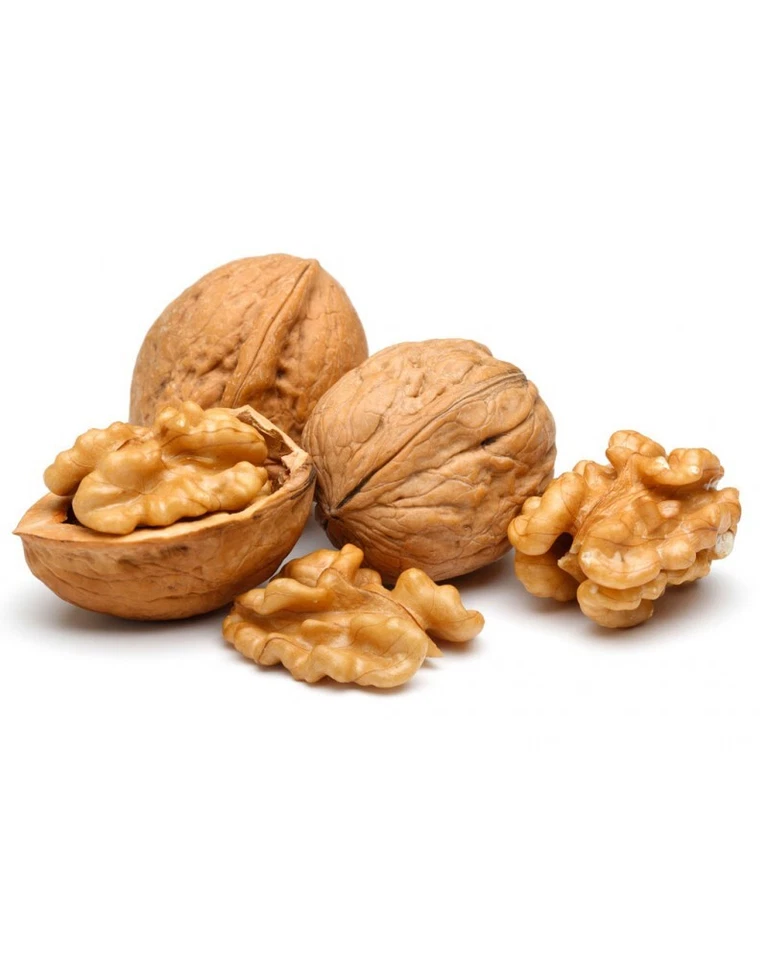Walnuts in Shell Whole 1kg - 25kg, Chilean, Natural, GMO Free, Good for Squirrel - Image 1 of 1