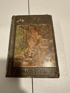 1920 THE CURLY TOPS AT SILVER LAKE BY HOWARD R. GARIS HARD COVER - Foto 1 di 5