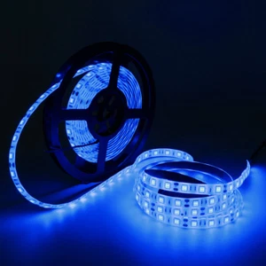 Blue 150/300/600Leds 3528/5050 SMD DIY Lighting Flexible LED Rope Strip Light - Picture 1 of 11
