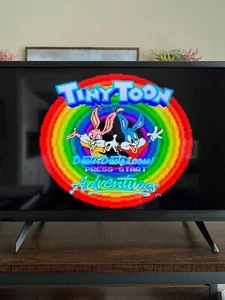 Tiny Toon Adventures Buster Busts Loose SNES Cartridge only TESTED WORKING - Picture 1 of 3