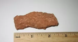2.3" RAÍZ FÓSIL NATURAL ÁSPERA (PLANTA) PIEDRA MINERAL SEDONA ARIZONA EE. UU. 29.1g *1 - Imagen 1 de 2