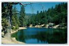 1968 Fulmor Lake Man-Made Idyllwild Banning San Jacinto California CA Postcard
