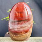595g Natural Red Petrified Wood Fossil Crystal Specimens Stone Reiki Healing