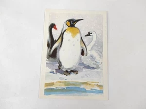 Soviet children's postcard 1988, penguin - Picture 1 of 3