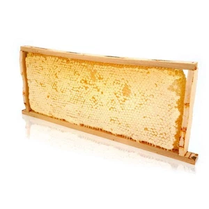 Ganzes Wabenrähmchen von ImkerPur, ca 3 kg, mit Akazien-Honig - Bild 1 von 6