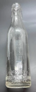 Vintage Antike Blenheim Ginger Ale Flasche SC Soda - Bild 1 von 4