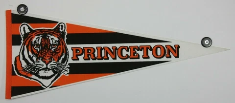 Vintage 90s Princeton Tigers Stripes NCAA 30x12 Pennant Cover