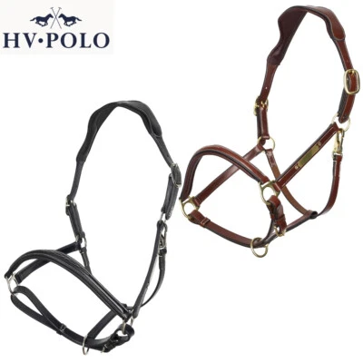 HV Polo Lederhalfter HVPLegacy mit Gravurplatte - Bild 1 von 4