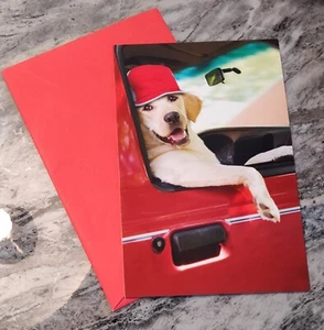 What's Up, Hund? American Greetings Just Because Karte Dapper verspielt & super cool - Bild 1 von 7