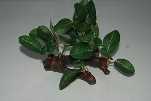 Aquarium Green Silk Plant On A Log Weighted Base 10 x 7 x 10 cms - Picture 1 of 8