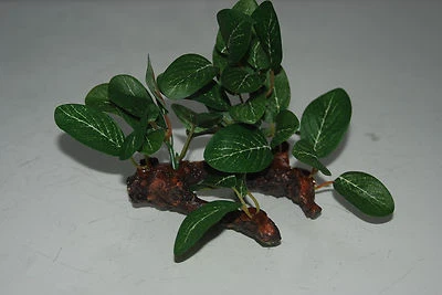 FMF Aquarium grüne Seidenpflanze auf einem Baumstamm x 2 gewichtete Basis 10 x 7 x 10 cm