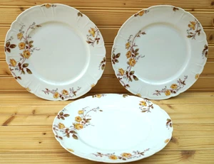 Haviland H & Co Schleiger 266e (3) Dinner Plates, 9 1/2"    (B19) - Picture 1 of 12