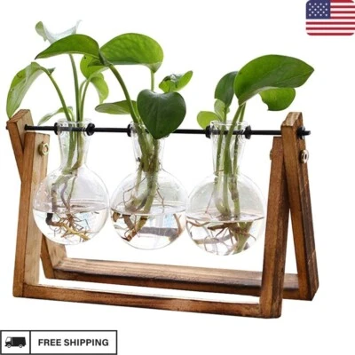Terrario para plantas soporte de madera maceta de aire bombilla jarrón de vidrio soporte giratorio de metal nuevo Foto 1 de 4