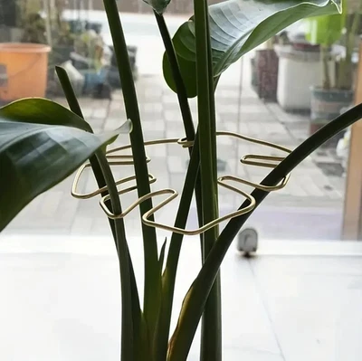 1Pc Large Hanging Plant Stand: Iron Hook Holder for Indoor & Outdoor Pots - NEW - Image 1 of 4