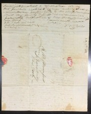 Alonzo Paige New York Senado, Supremo Tribunal, Constituição Convenção 1868