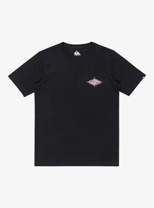 QUIKSILVER - Boys EV Beach Blast T-Shirt (8-16 Yrs) - Black - Casual Tee - Picture 1 of 2
