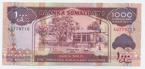 Somaliland 1000 Shilin 2011 Pick 20.a UNC Uncirculated Banknote - Picture 1 of 2