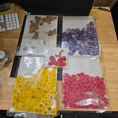 LOTE MINI FLORES SECAS. Foto 1 de 4