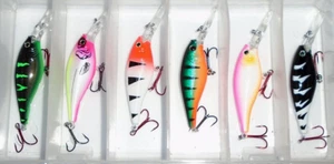 Paquete Berkley #5 Flicker Shad Crankbait (6-Paquete exclusivo color Pro-FL56-16) - Imagen 1 de 1