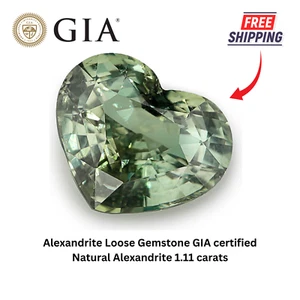 Alexandrit Loose Edelstein GIA zertifiziert Natural Alexandrit 1,11 Karat - Bild 1 von 8