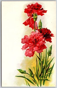 AK Rote Nelken Blumen Floral geprägt Kunst Illustration unbespielt ungelaufen - Bild 1 von 2