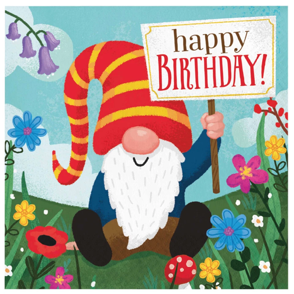 Gnomes Party Supplies Lunch Napkins 16 Pack Birthday Gnome Tableware Boy Girl - Image 1 of 1