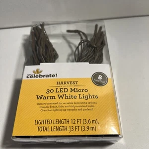 Fall, Harvest 30-Count Battery-Operated LED Micro Warm White Lights, 12’ - Picture 1 of 4
