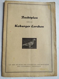 Koburger Lerchen ,Zuchtplan Sitz Sonneberg Thüringen - Bild 1 von 1