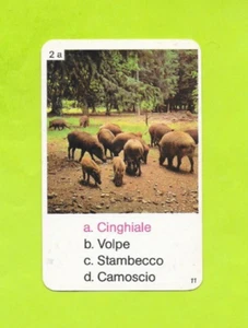 Carte Italienne - N°2a - Sanglier - Foto 1 di 2
