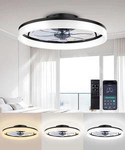 Ceiling Fans with Lights and Remote, 20"Modern Low Profile Ceiling Fan with Ligh - Picture 1 of 7