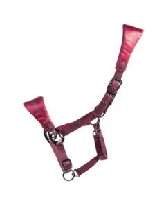 QHP Halfter Gloss - Bild 1 von 12