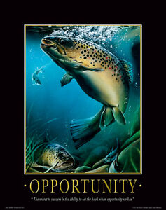 Fly Fishing Motivational Poster Print Trout Flies Office Lodge Wall Art Decor