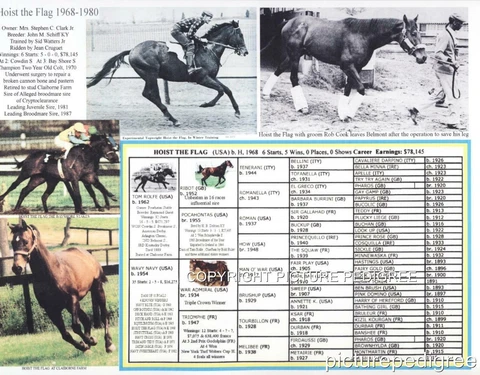 Race Horse Hoist the Flag  picture pedigree chart Cover